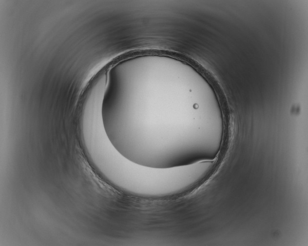 X0000112750925200909171222