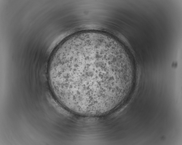 X0000112750930200909171223