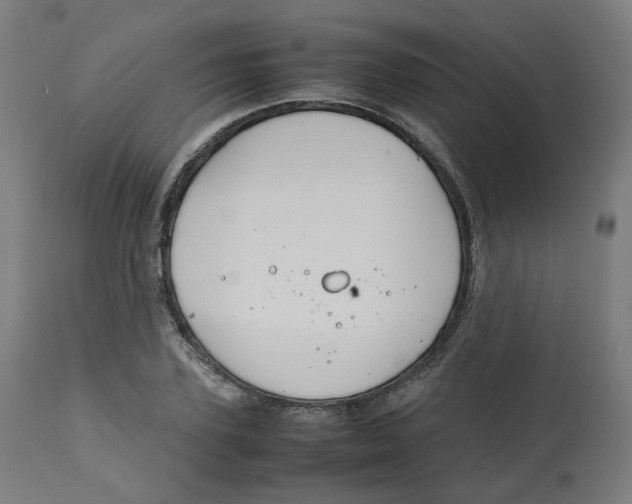 X0000112750931200909171223