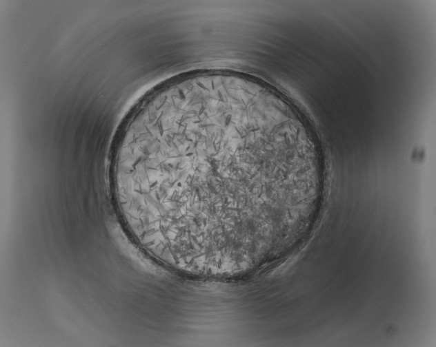 X0000112750932200909171223