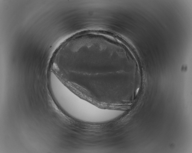 X0000112750935200909171223