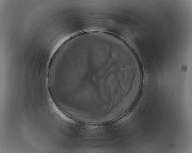 X0000112750941200909171223