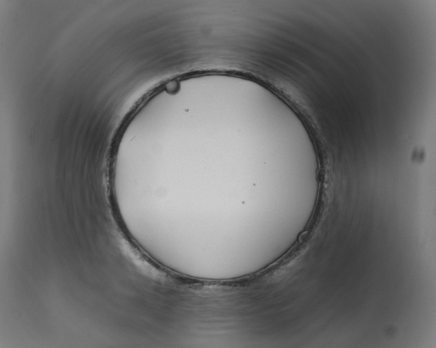 X0000112750942200909171223