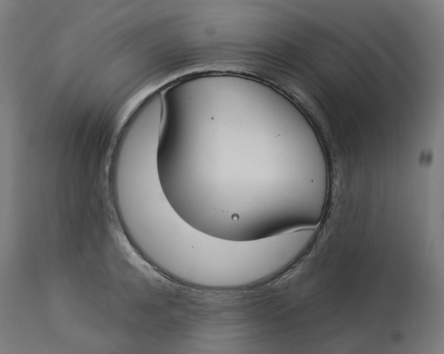 X0000112750944200909171223