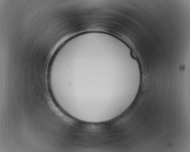 X0000112750947200909171223