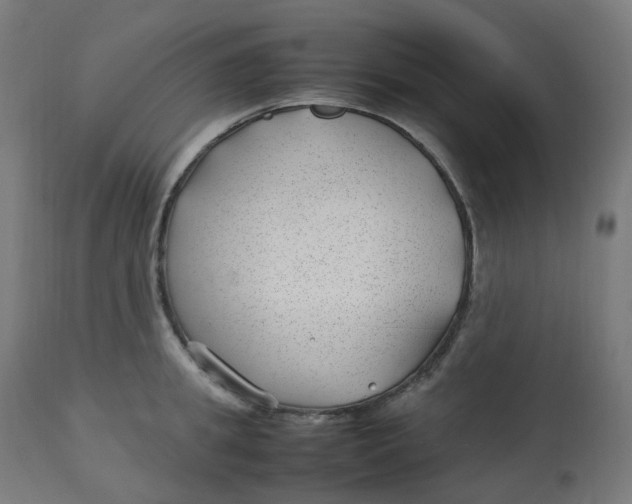 X0000112750949200909171223