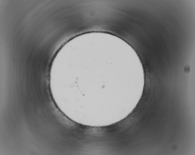 X0000112750950200909171223