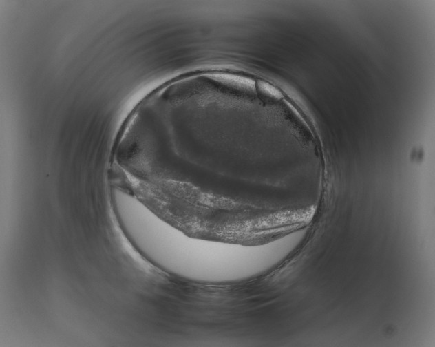 X0000112750951200909171223