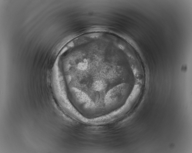 X0000112750953200909171223