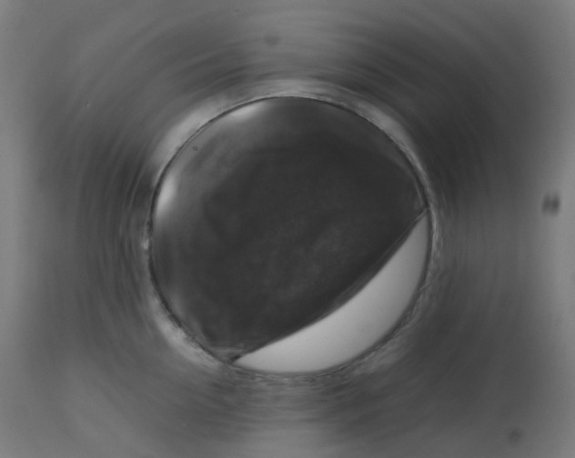 X0000112750954200909171223