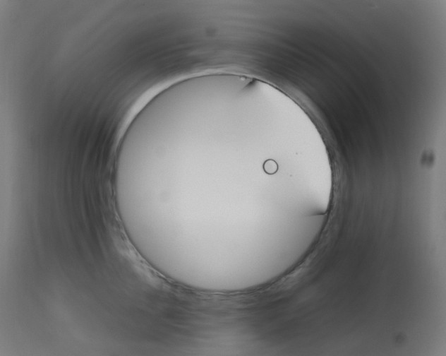 X0000112750956200909171223