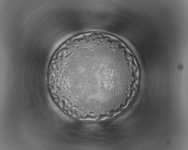 X0000112750957200909171223