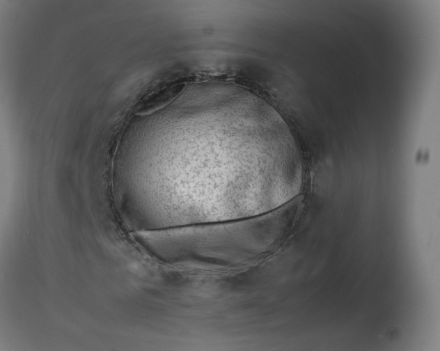 X0000112750961200909171222