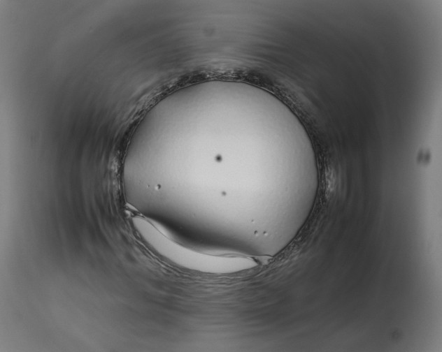 X0000112750964200909171222