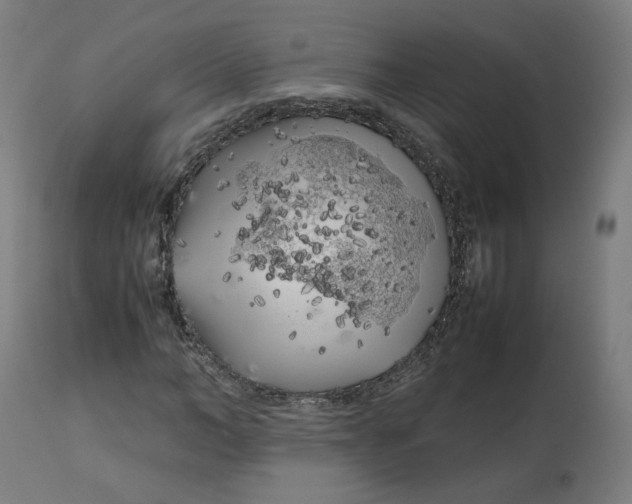 X0000112750966200909171222