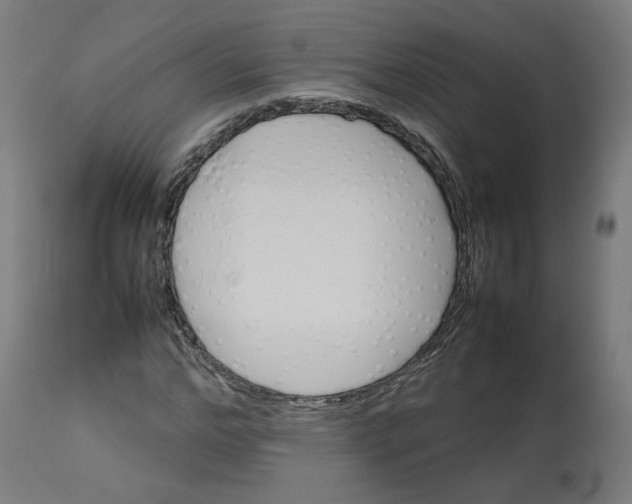 X0000112750968200909171222