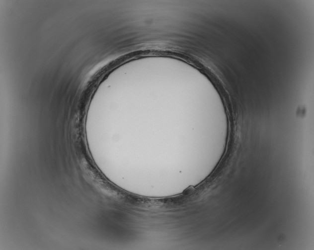 X0000112750971200909171222