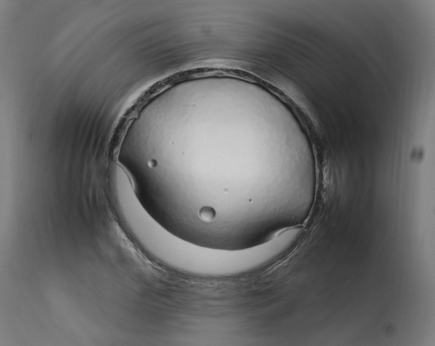 X0000112750972200909171222