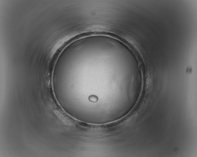 X0000112750973200909171222