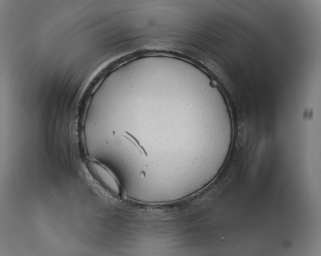 X0000112750976200909171222