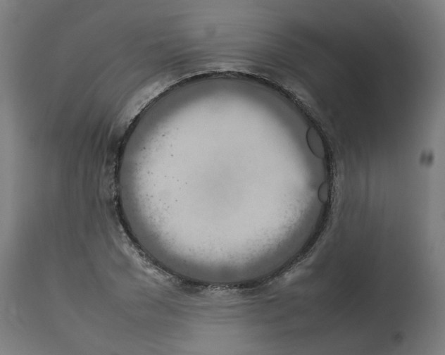 X0000112750977200909171222