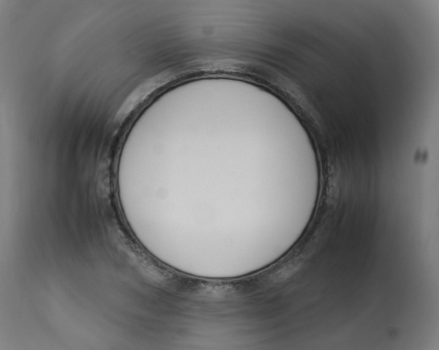 X0000112750978200909171222