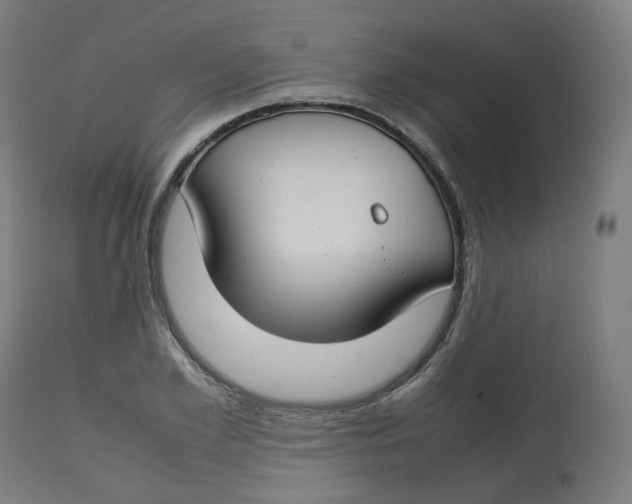 X0000112750981200909171222