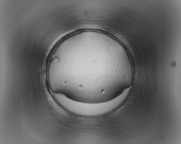 X0000112750984200909171222