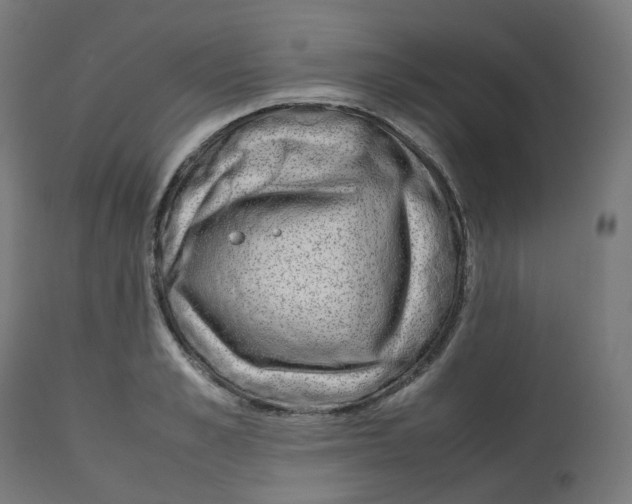 X0000112750989200909171222