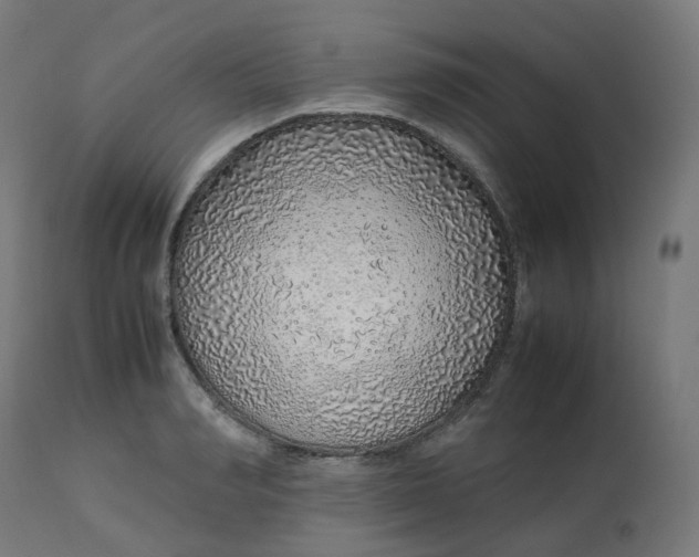 X0000112750990200909171222