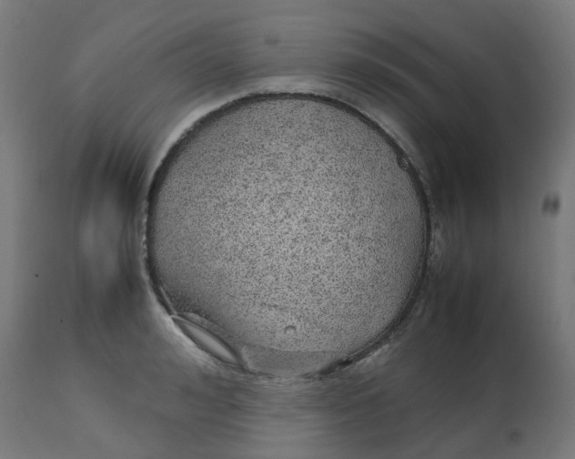 X0000112750992200909171222