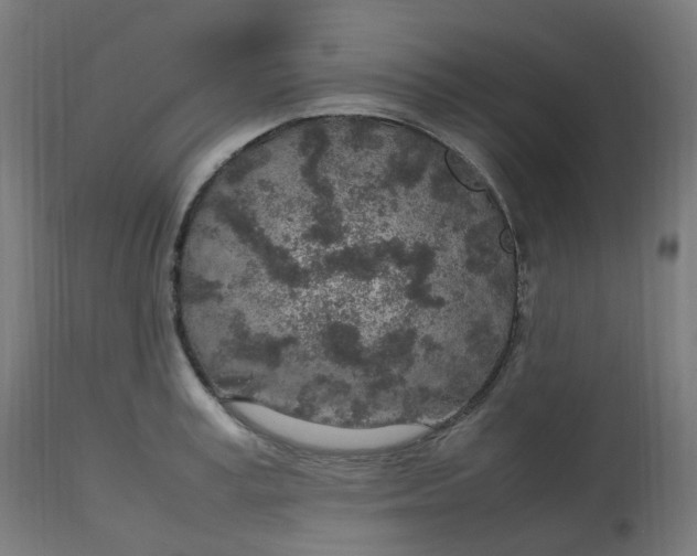 X0000112750995200909171222