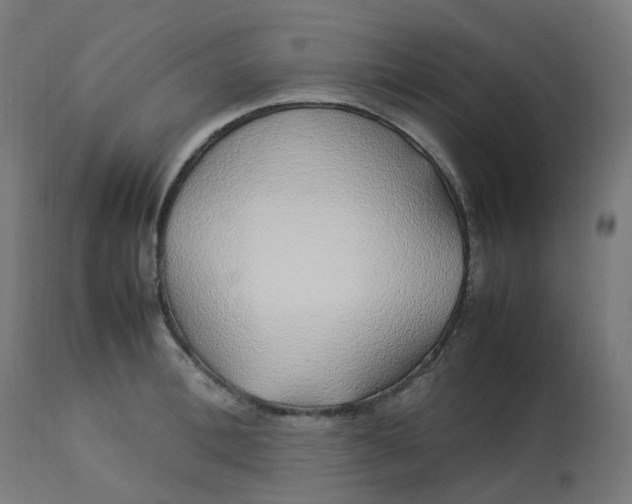 X0000112750996200909171222