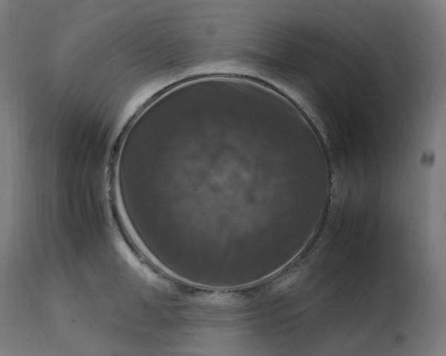 X0000112750998200909171222