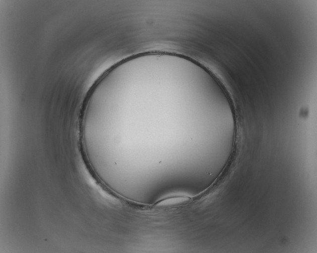 X0000112750999200909171222