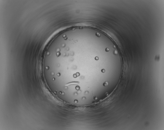 X0000112751000200909171222