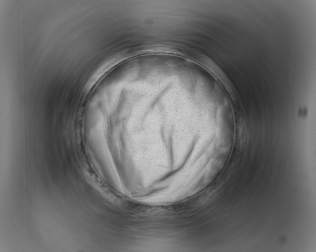 X0000112751002200909171222