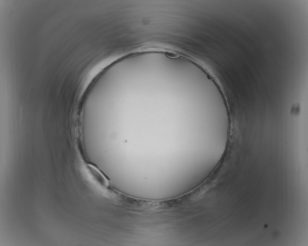 X0000112751003200909171222