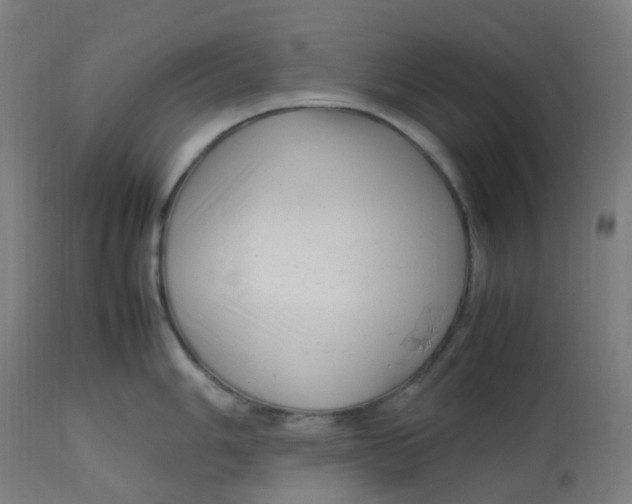 X0000112751006200909171222