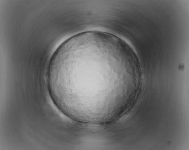 X0000112751007200909171221