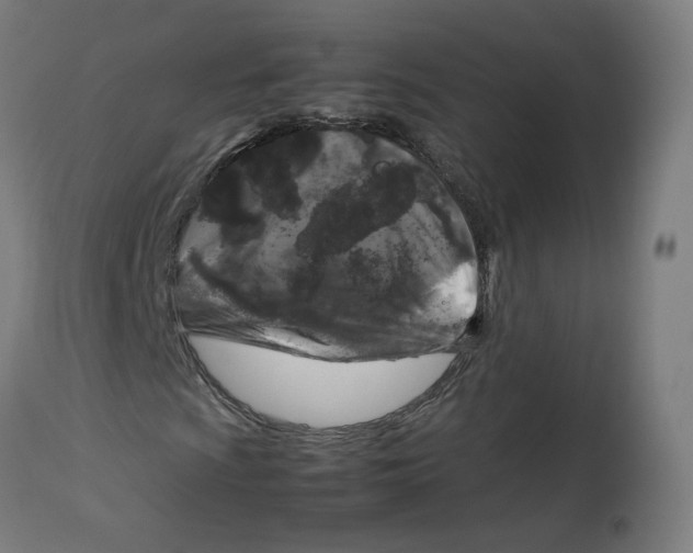 X0000112751009200909171220