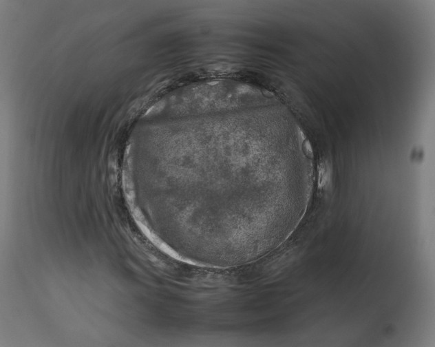 X0000112751011200909171221