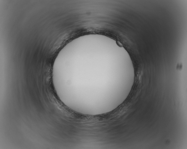 X0000112751012200909171221