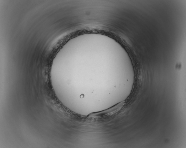 X0000112751016200909171221