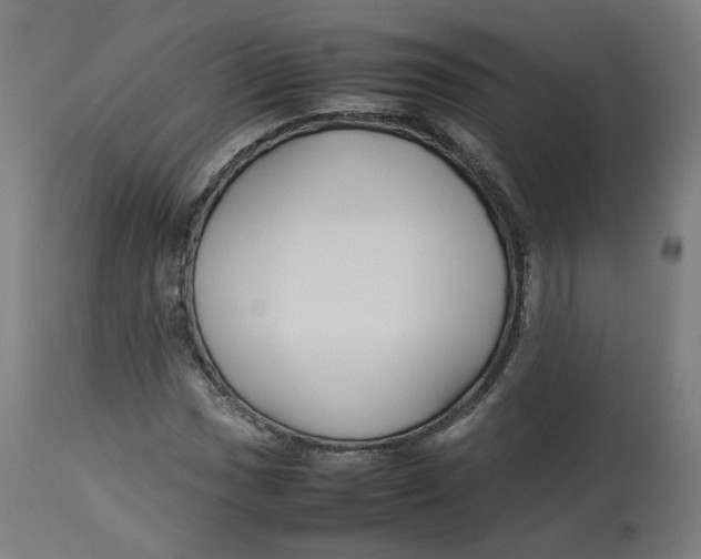 X0000112751017200909171221