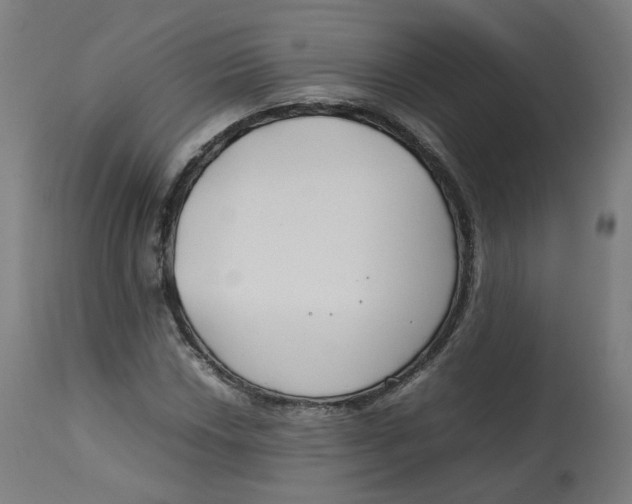 X0000112751018200909171221