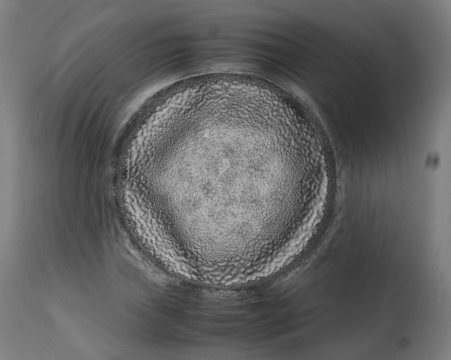 X0000112751019200909171221