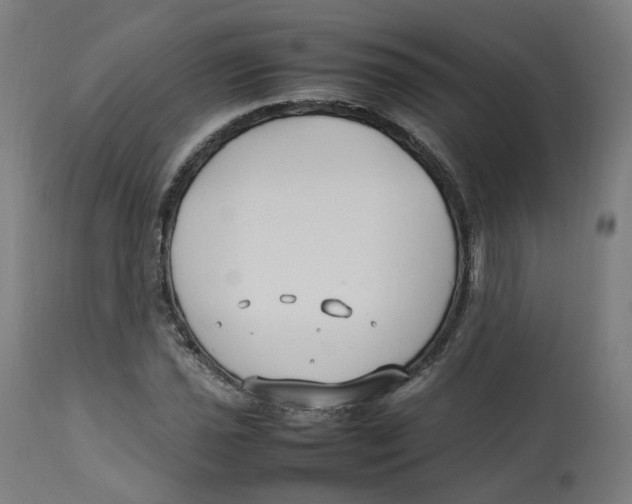 X0000112751021200909171221