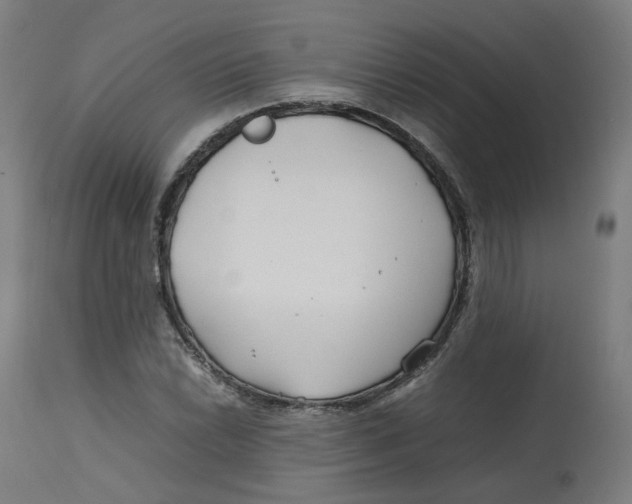 X0000112751022200909171221