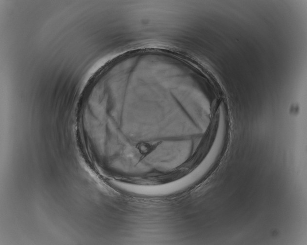 X0000112751024200909171221